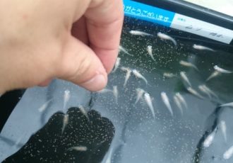 障がい者　就労継続支援B型事業所 the LANP　お仕事内容